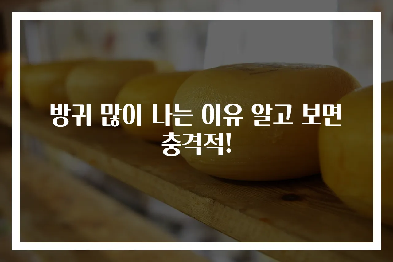 방귀 많이 나는 이유 알고 보면 충격적!