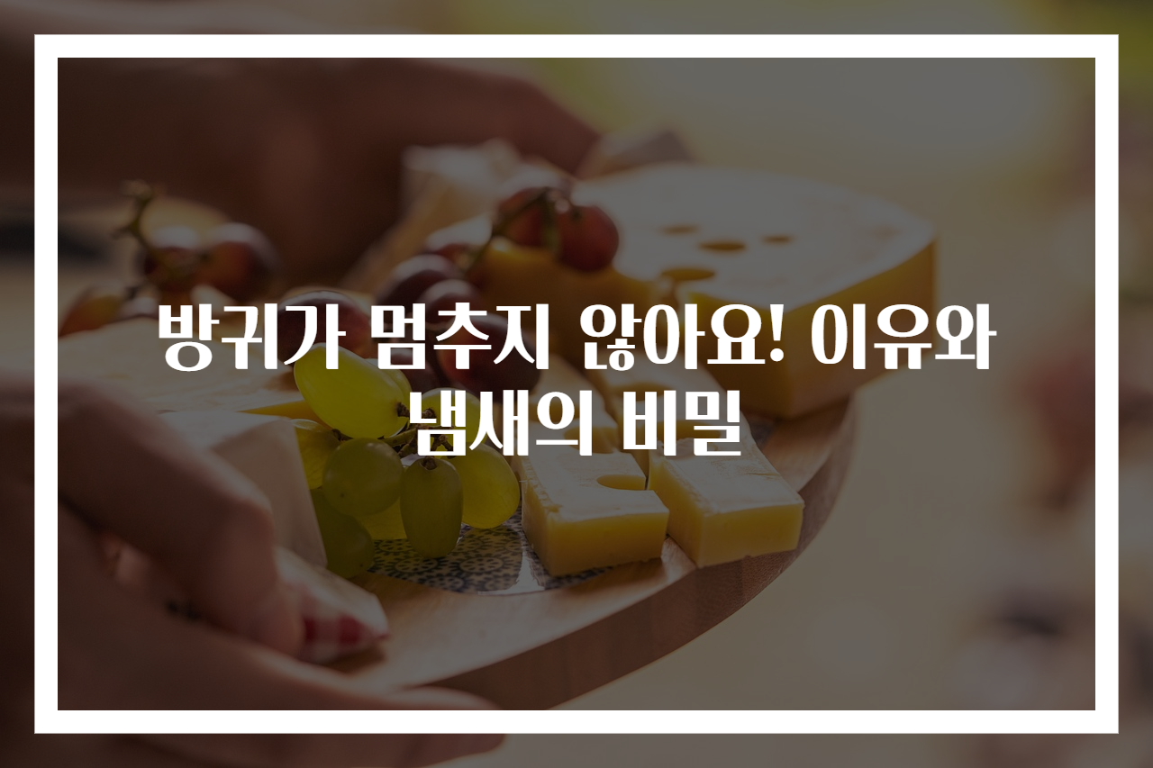 방귀가 멈추지 않아요! 이유와 냄새의 비밀