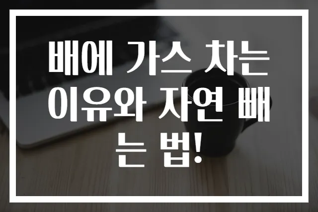 배에 가스 차는 이유와 자연 빼는 법!