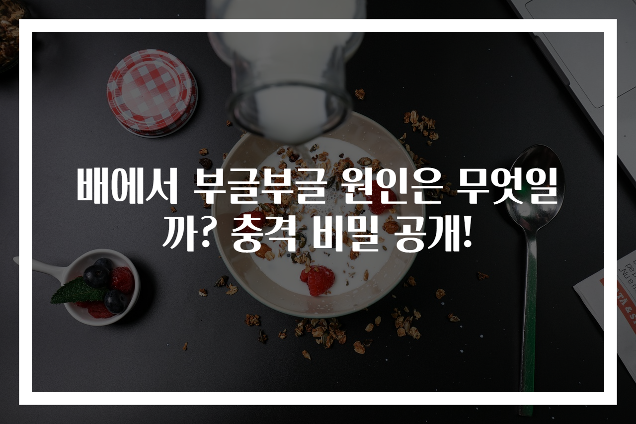 배에서 부글부글 원인은 무엇일까? 충격 비밀 공개!