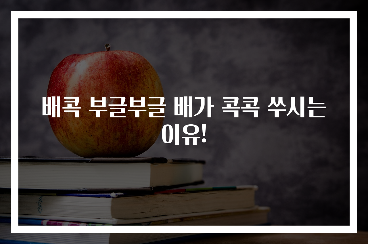 배콕 부글부글 배가 콕콕 쑤시는 이유!