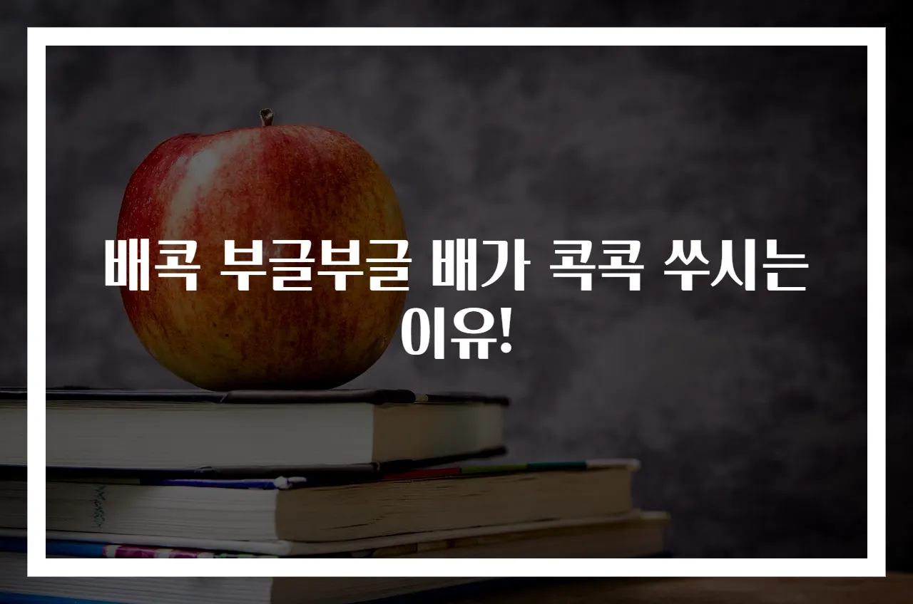 배콕 부글부글 배가 콕콕 쑤시는 이유!