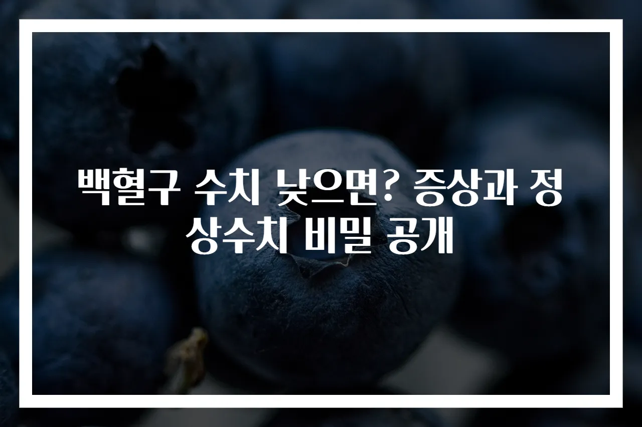 백혈구 수치 낮으면? 증상과 정상수치 비밀 공개