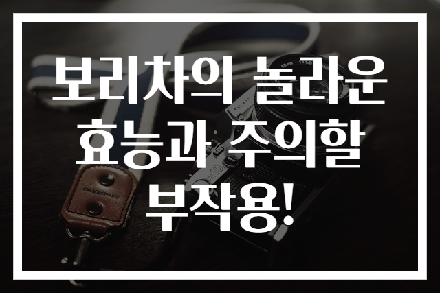 보리차의 놀라운 효능과 주의할 부작용!
