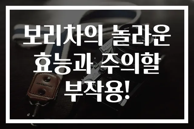 보리차의 놀라운 효능과 주의할 부작용!