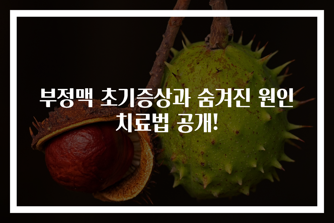 부정맥 초기증상과 숨겨진 원인 치료법 공개!