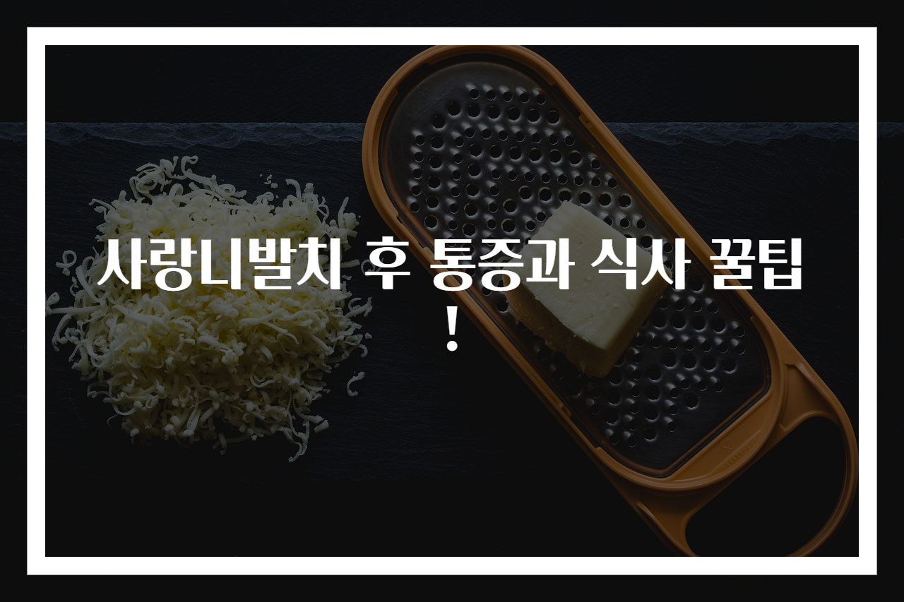 사랑니발치 후 통증과 식사 꿀팁!