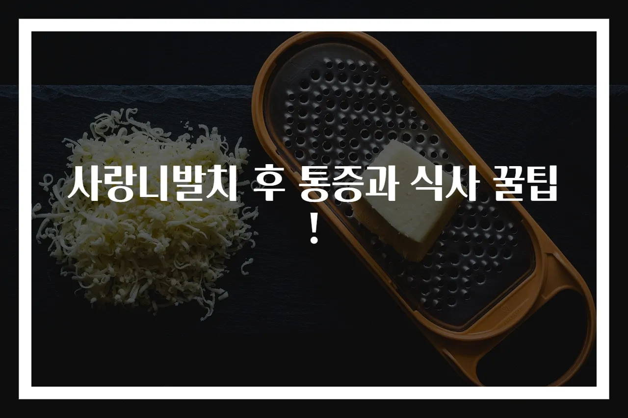 사랑니발치 후 통증과 식사 꿀팁!