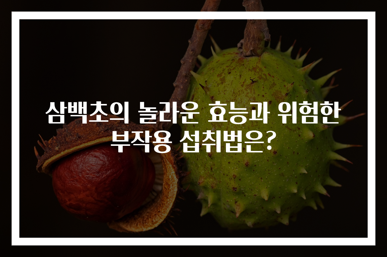 삼백초의 놀라운 효능과 위험한 부작용 섭취법은?