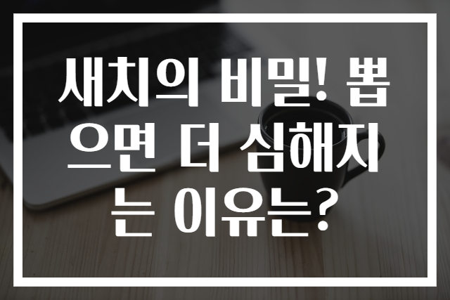 새치의 비밀! 뽑으면 더 심해지는 이유는?