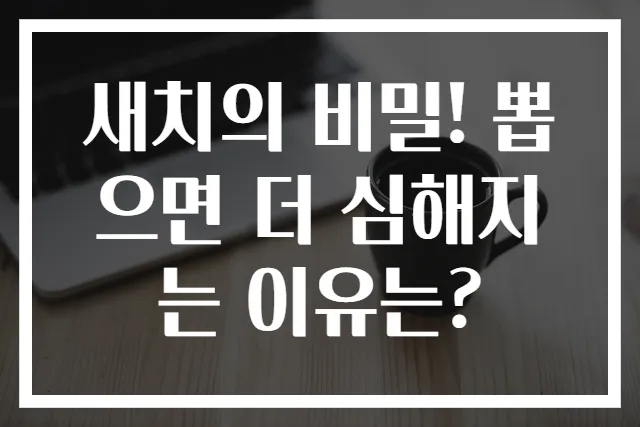 새치의 비밀! 뽑으면 더 심해지는 이유는?