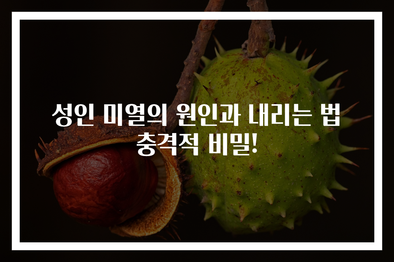 성인 미열의 원인과 내리는 법 충격적 비밀!