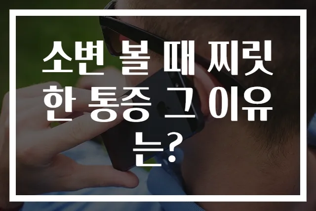 소변 볼 때 찌릿한 통증 그 이유는?