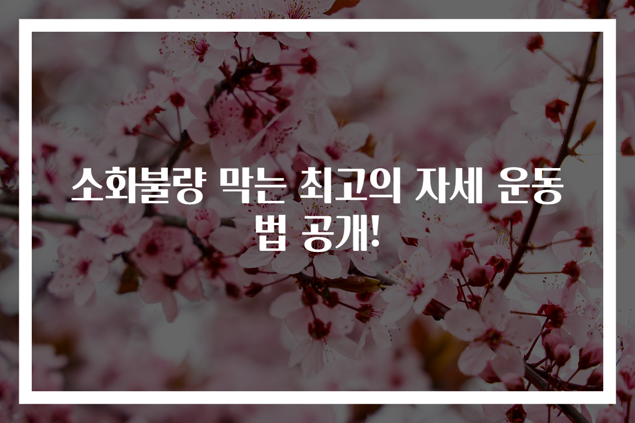 소화불량 막는 최고의 자세 운동법 공개!