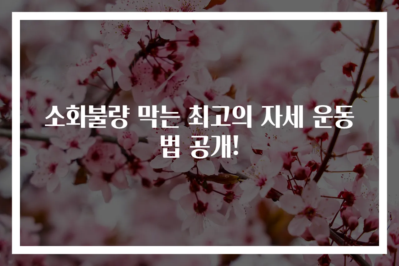 소화불량 막는 최고의 자세 운동법 공개!