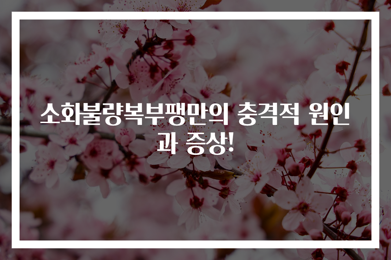 소화불량복부팽만의 충격적 원인과 증상!