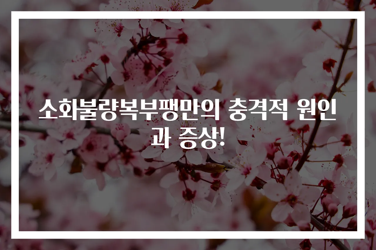 소화불량복부팽만의 충격적 원인과 증상!