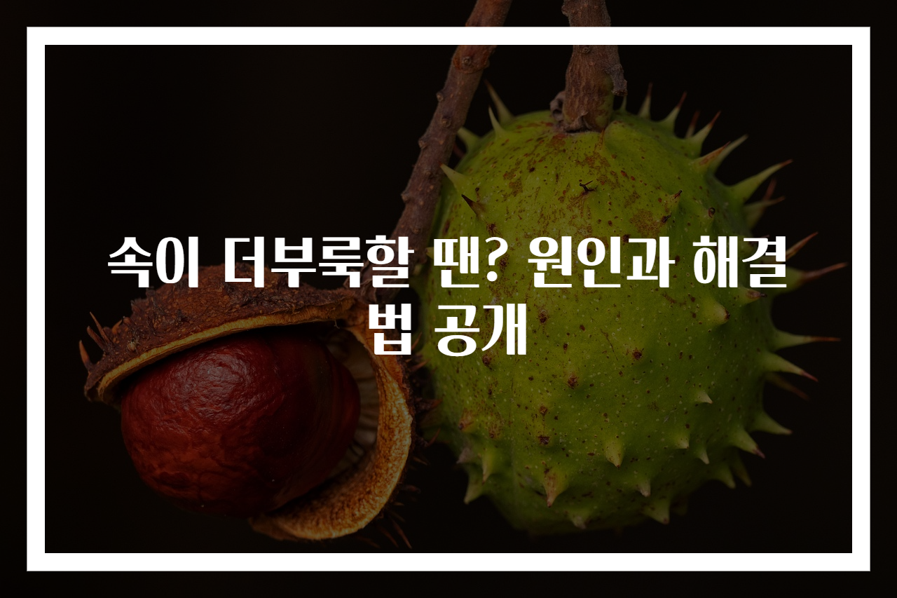 속이 더부룩할 땐? 원인과 해결법 공개