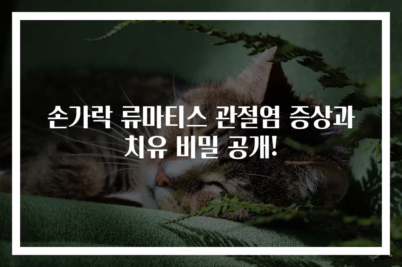 손가락 류마티스 관절염 증상과 치유 비밀 공개!