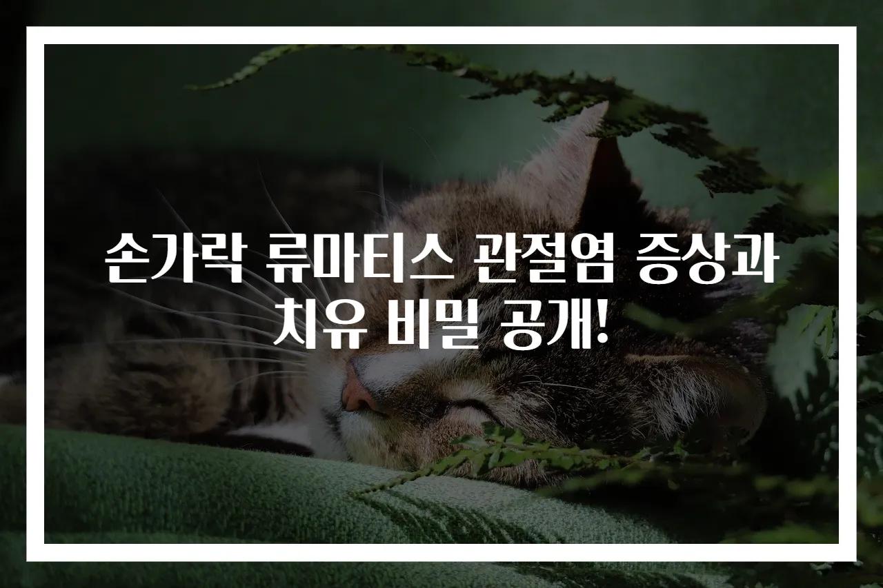 손가락 류마티스 관절염 증상과 치유 비밀 공개!
