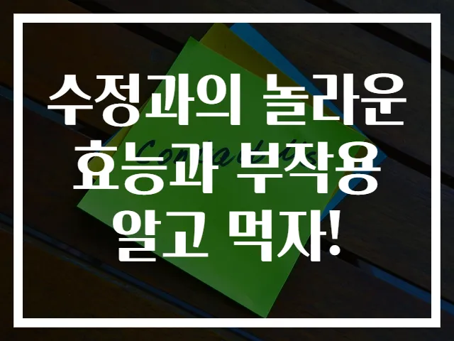 수정과의 놀라운 효능과 부작용 알고 먹자!