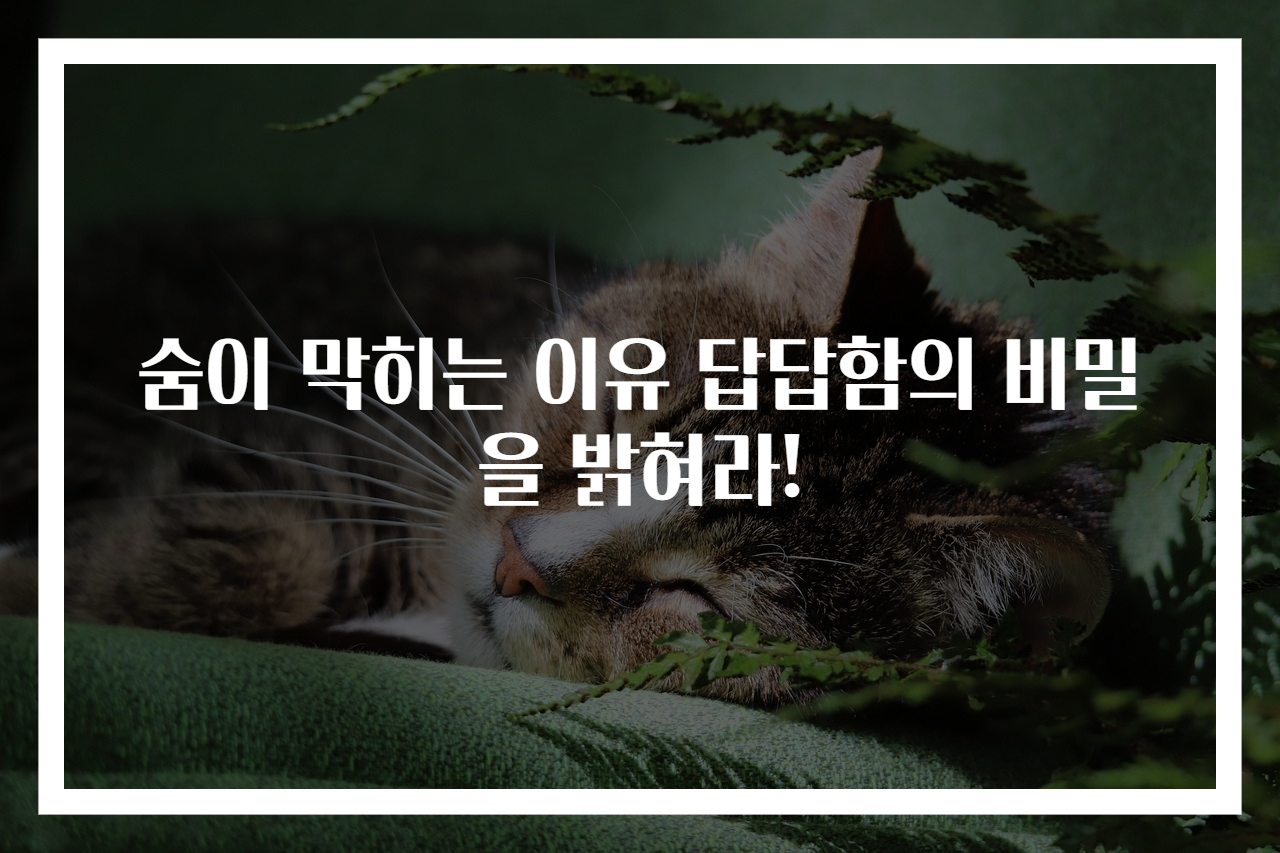 숨이 막히는 이유 답답함의 비밀을 밝혀라!