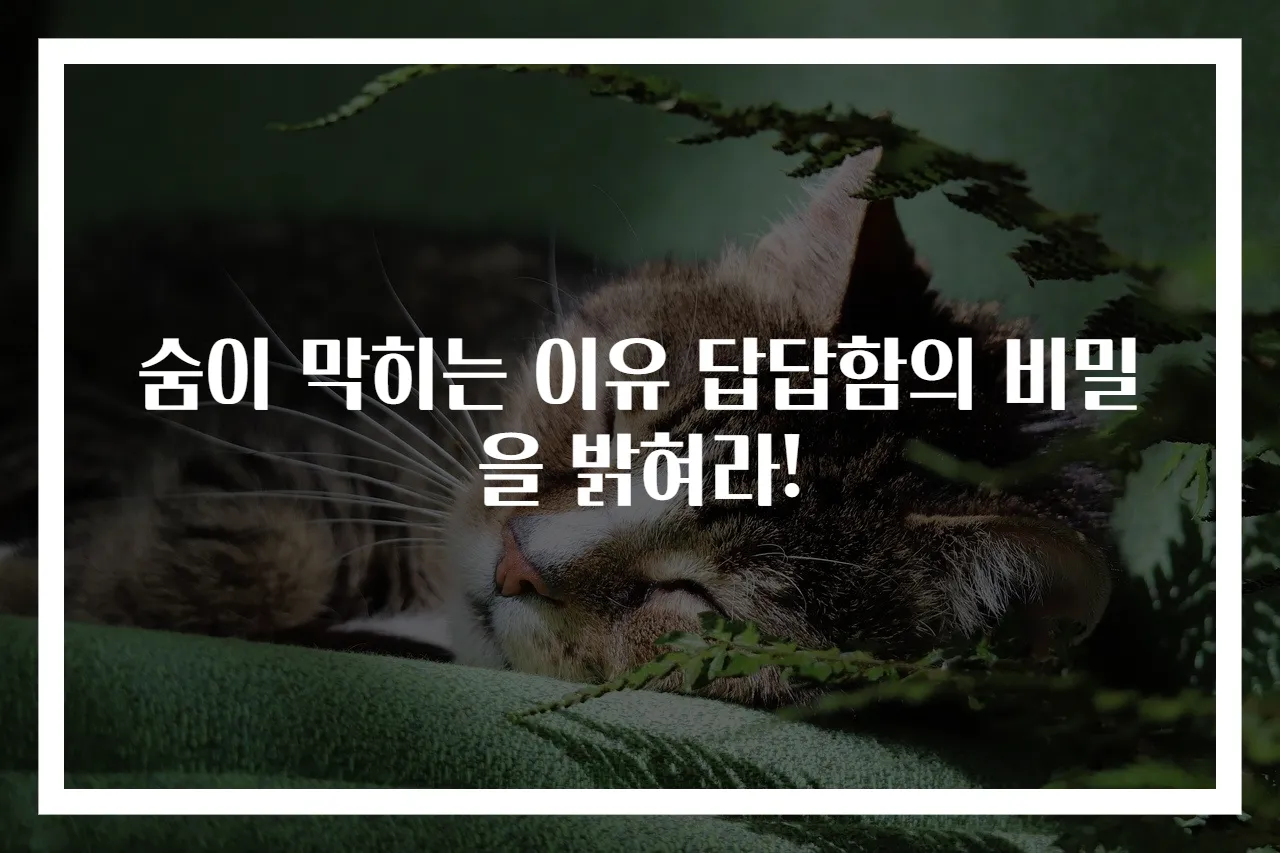 숨이 막히는 이유 답답함의 비밀을 밝혀라!