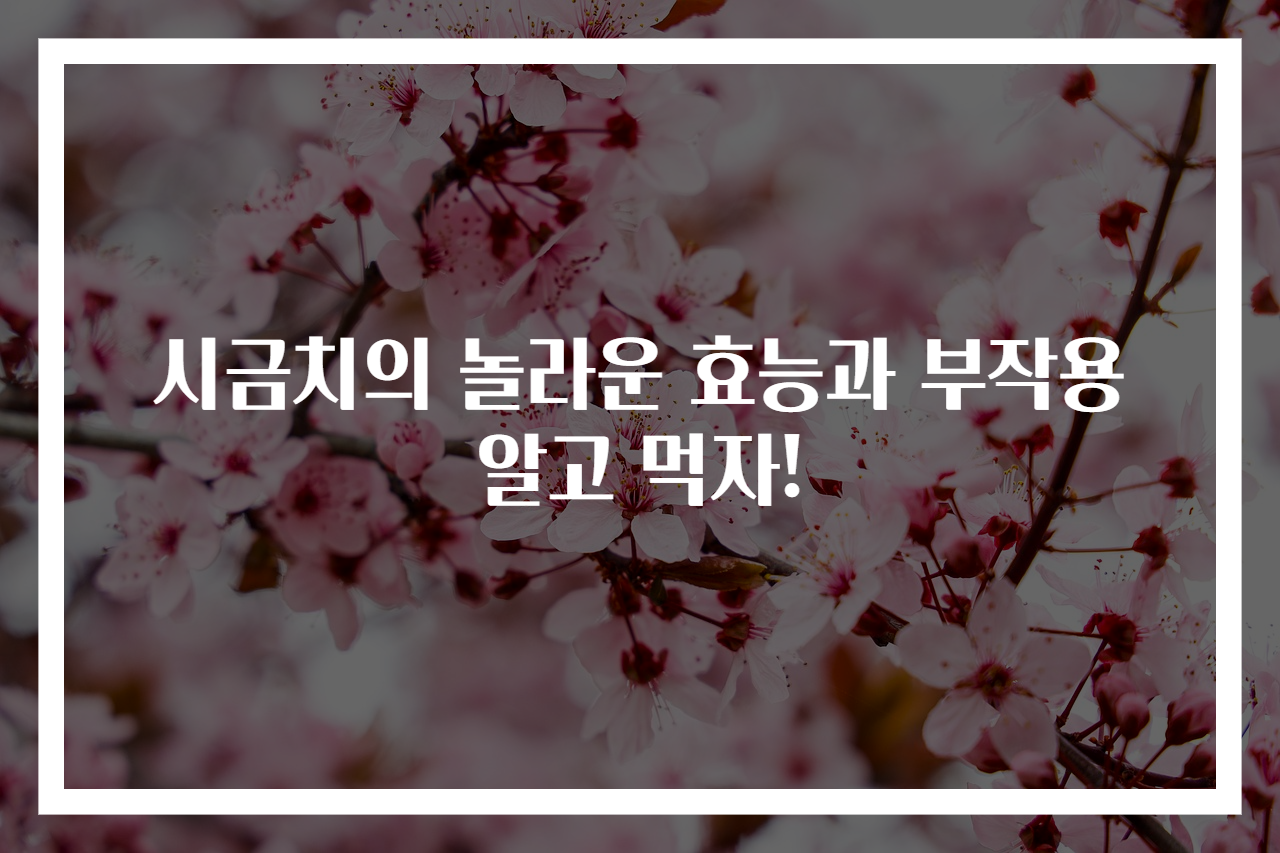시금치의 놀라운 효능과 부작용 알고 먹자!