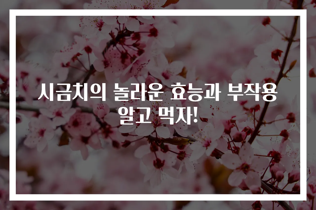 시금치의 놀라운 효능과 부작용 알고 먹자!
