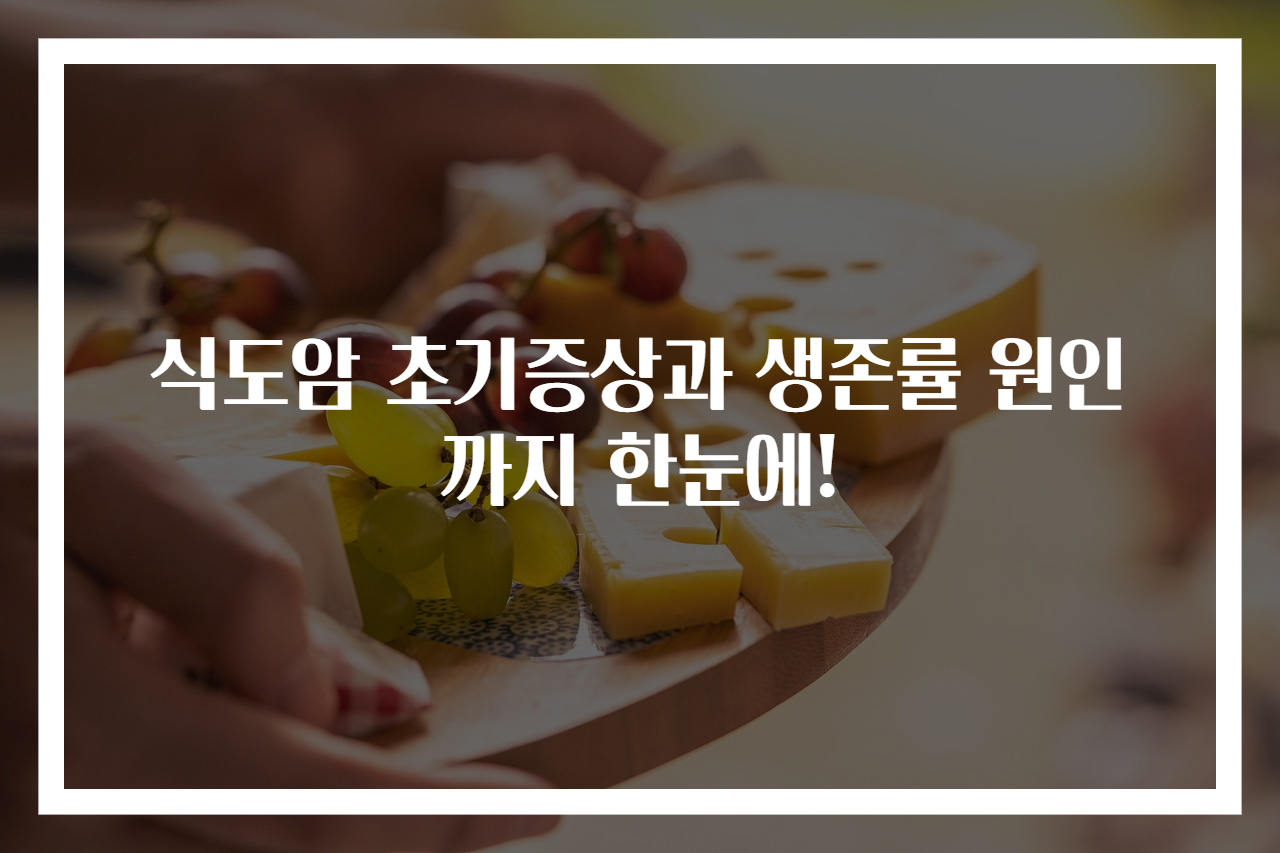식도암 초기증상과 생존률 원인까지 한눈에!