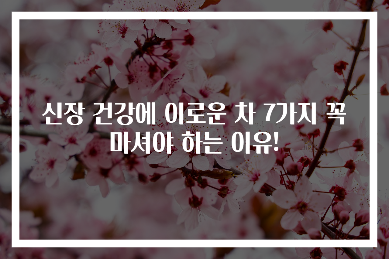 신장 건강에 이로운 차 7가지 꼭 마셔야 하는 이유!