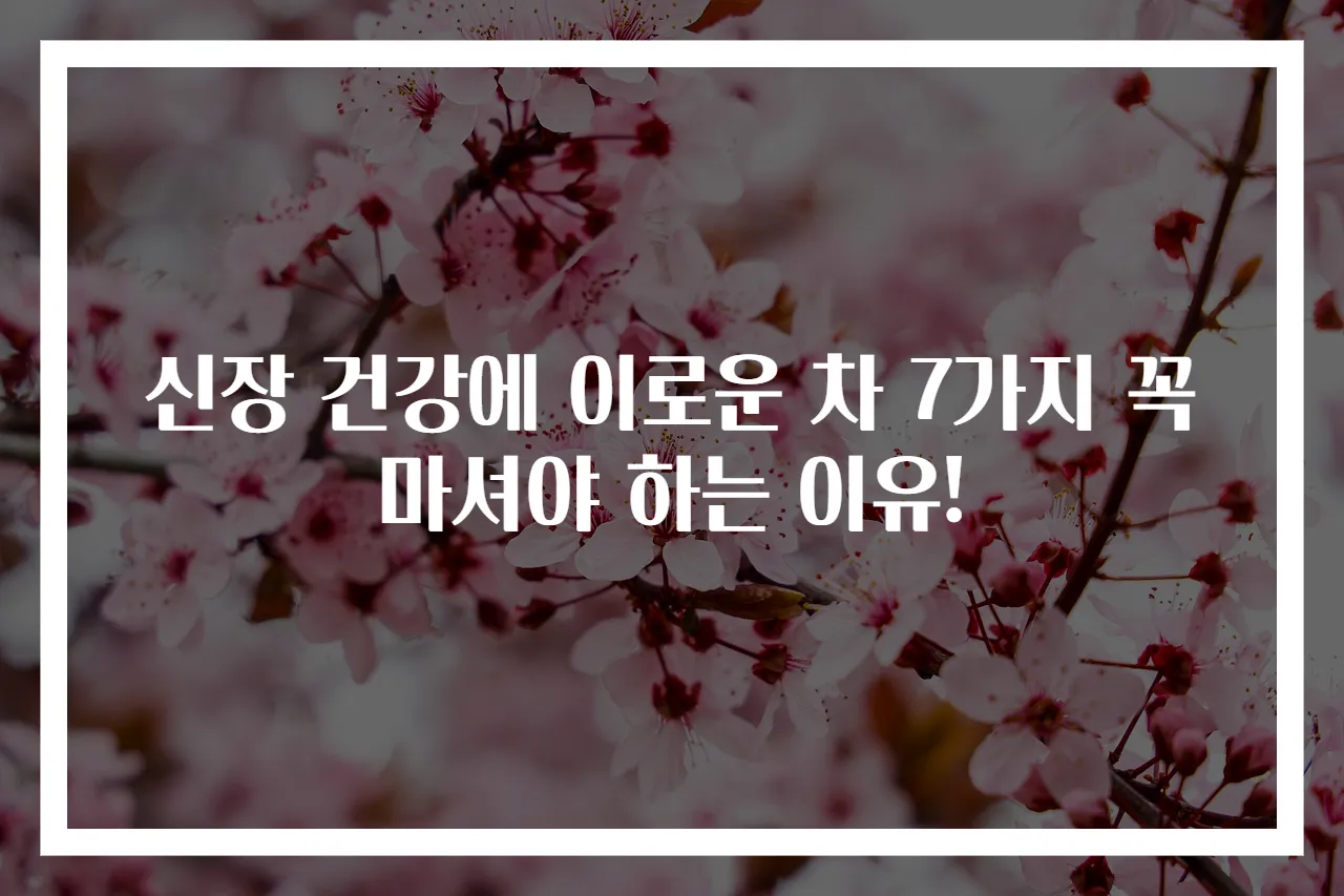 신장 건강에 이로운 차 7가지 꼭 마셔야 하는 이유!