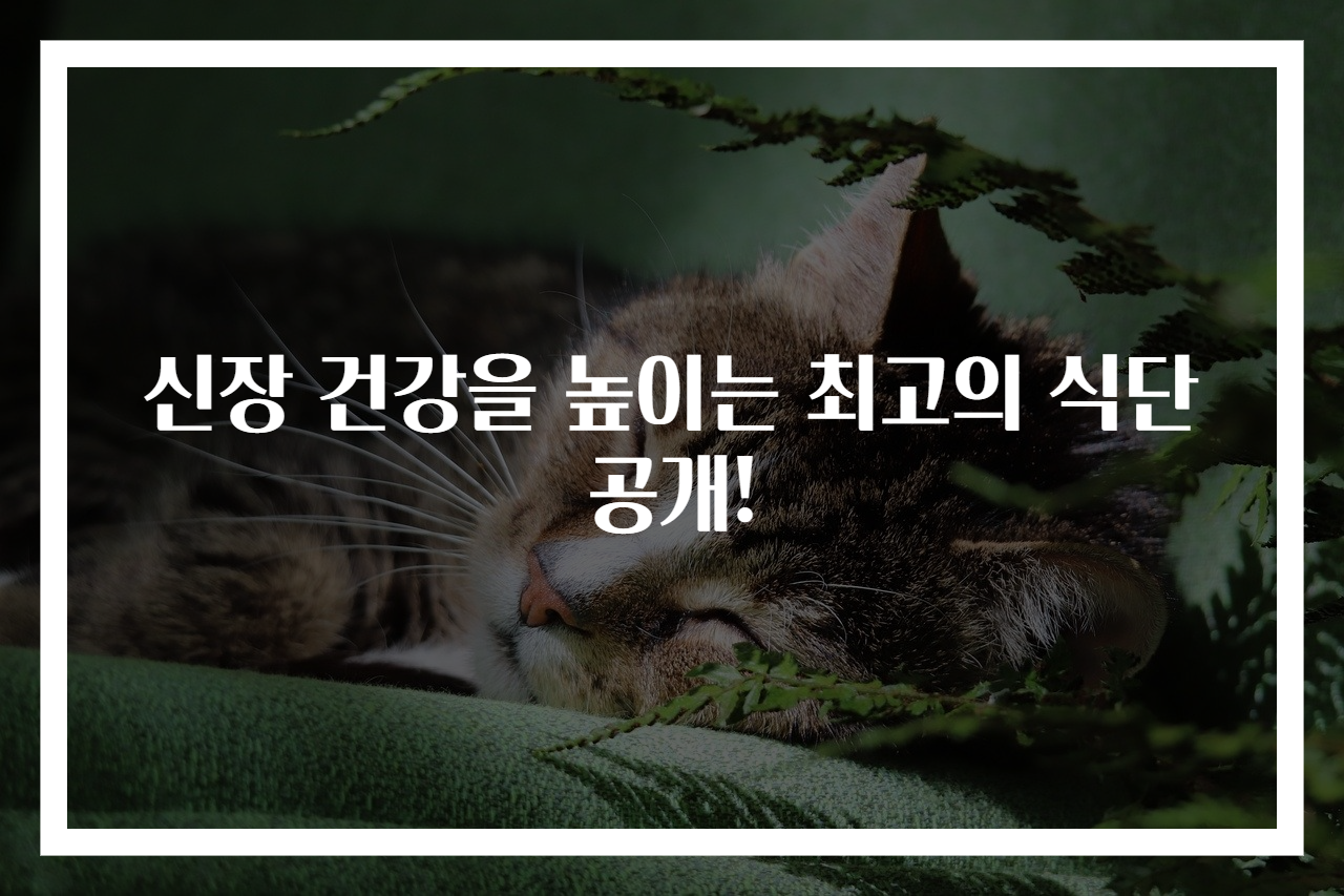 신장 건강을 높이는 최고의 식단 공개!