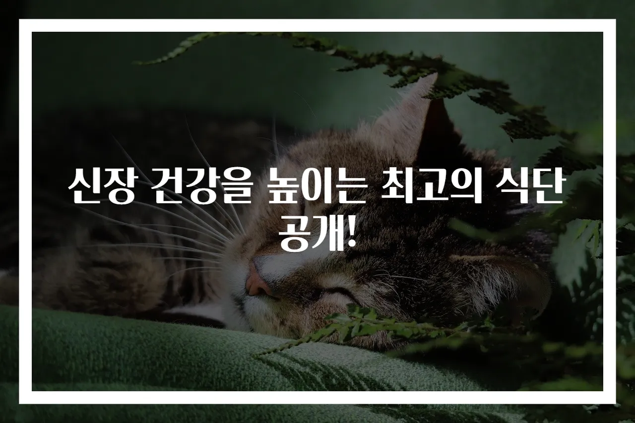 신장 건강을 높이는 최고의 식단 공개!