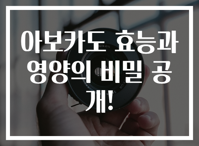 아보카도 효능과 영양의 비밀 공개!