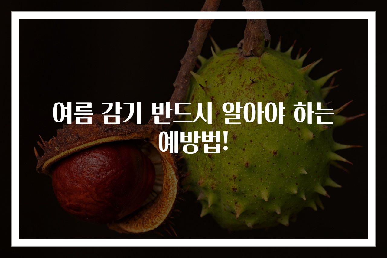 여름 감기 반드시 알아야 하는 예방법!