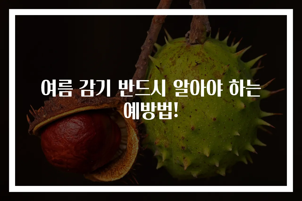 여름 감기 반드시 알아야 하는 예방법!