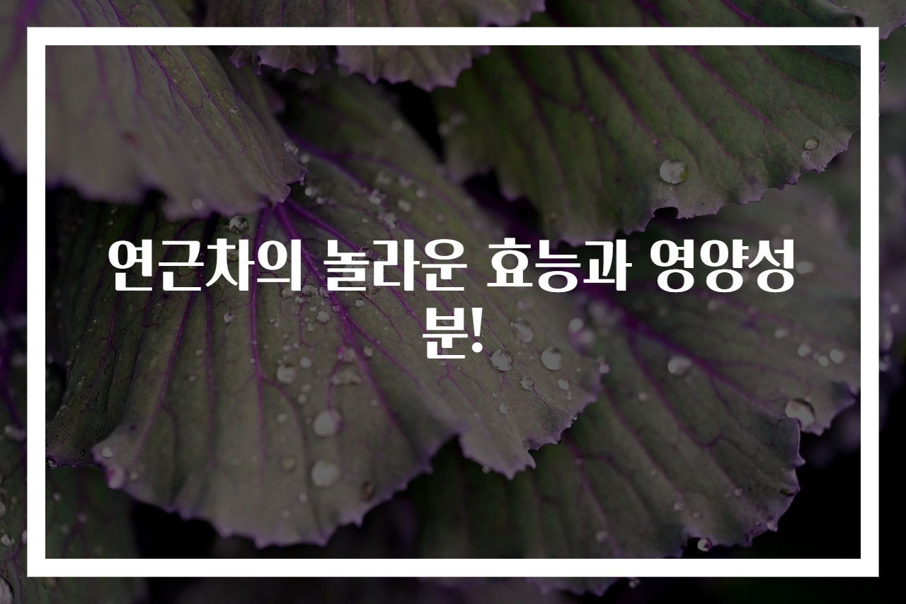 연근차의 놀라운 효능과 영양성분!