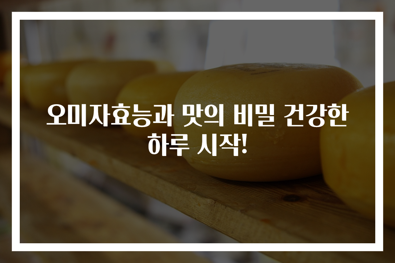 오미자효능과 맛의 비밀 건강한 하루 시작!