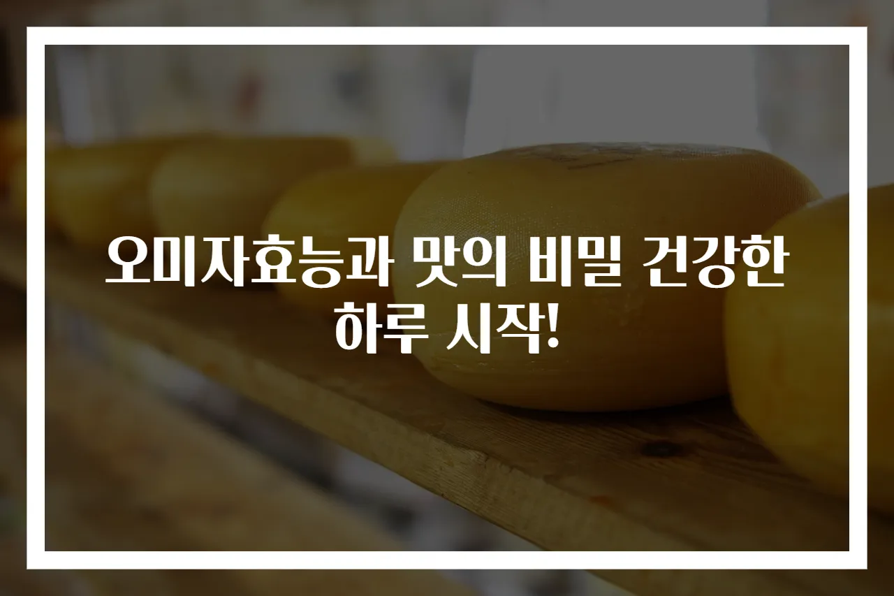 오미자효능과 맛의 비밀 건강한 하루 시작!