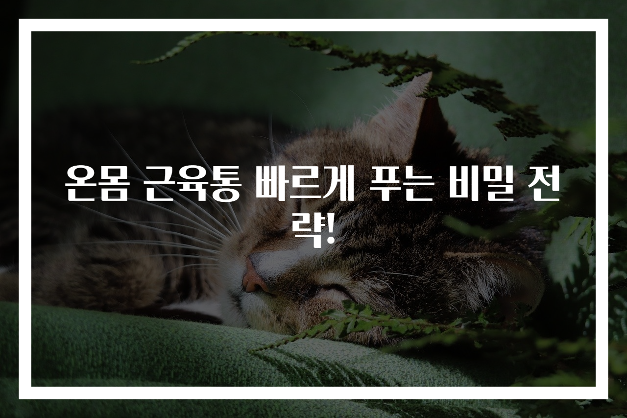 온몸 근육통 빠르게 푸는 비밀 전략!