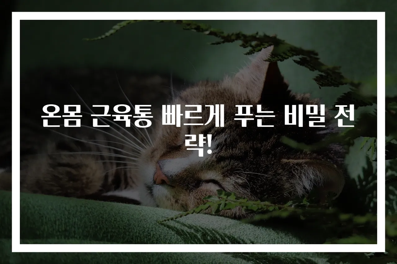 온몸 근육통 빠르게 푸는 비밀 전략!
