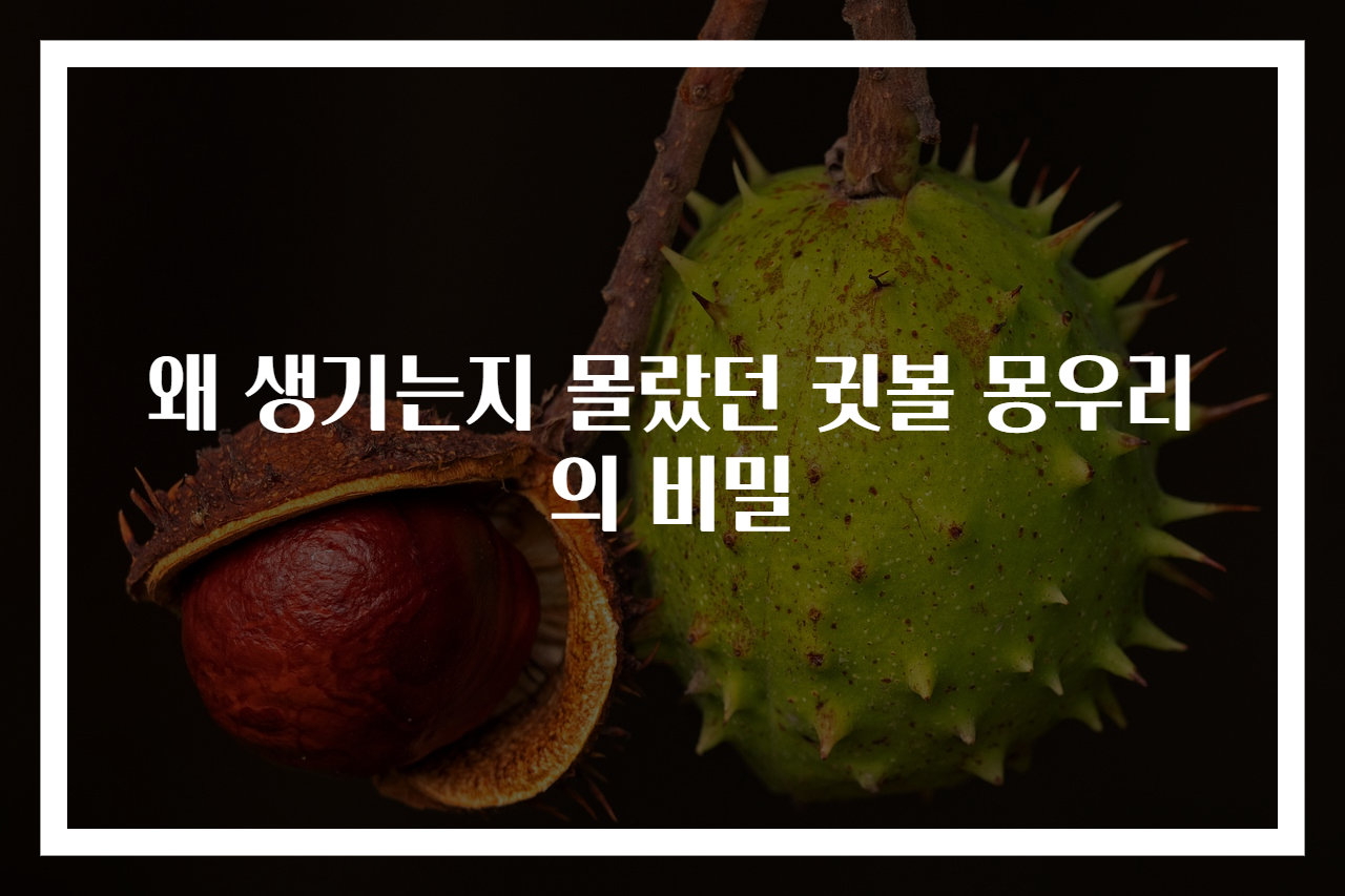 왜 생기는지 몰랐던 귓볼 몽우리의 비밀