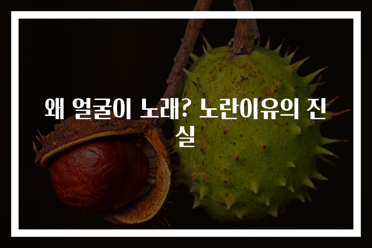 왜 얼굴이 노래? 노란이유의 진실