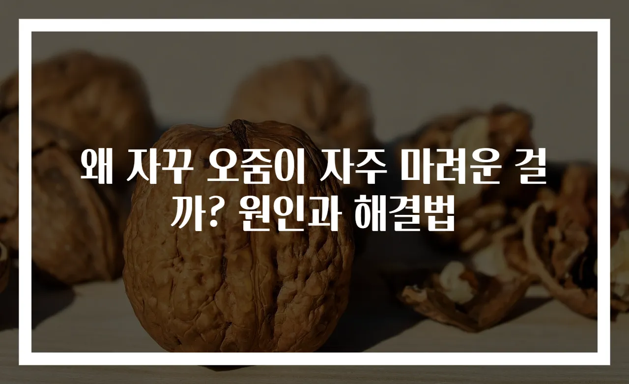 왜 자꾸 오줌이 자주 마려운 걸까? 원인과 해결법