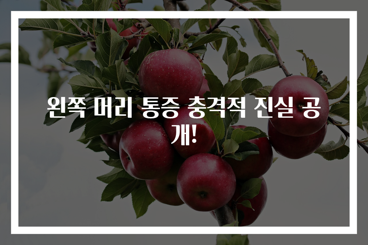 왼쪽 머리 통증 충격적 진실 공개!