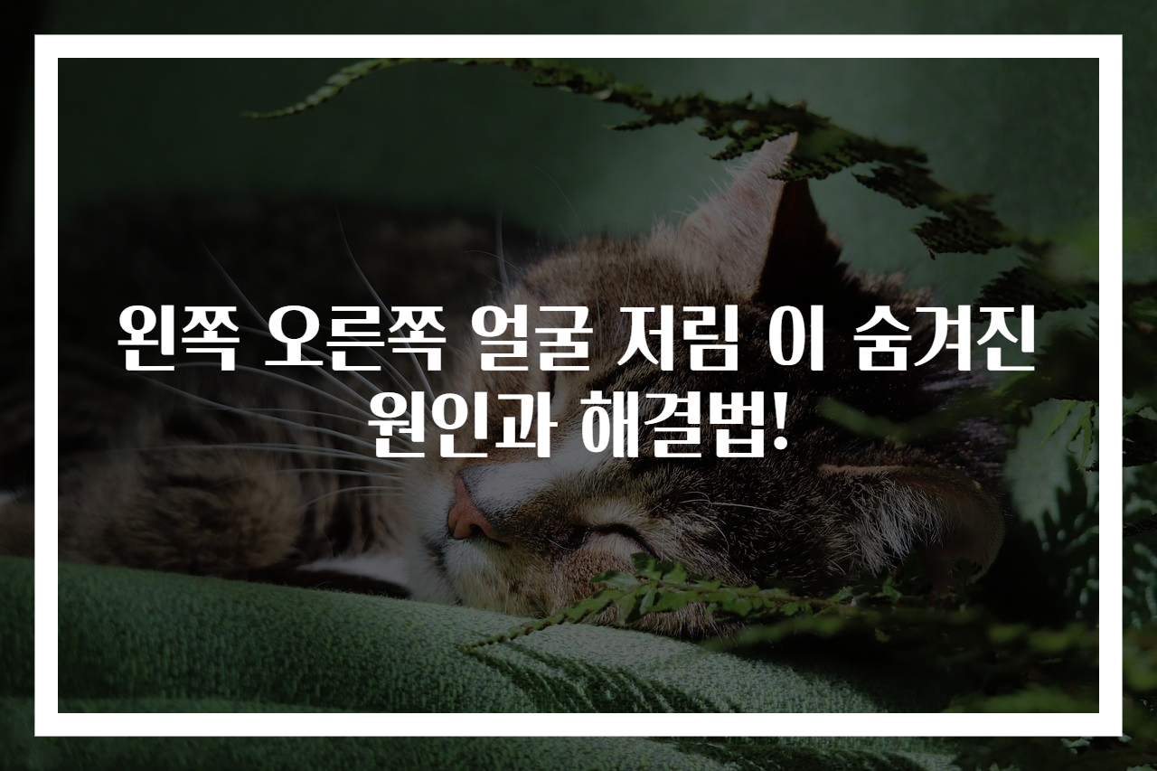 왼쪽 오른쪽 얼굴 저림 이 숨겨진 원인과 해결법!