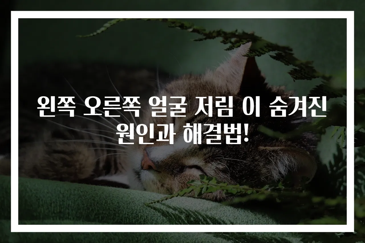 왼쪽 오른쪽 얼굴 저림 이 숨겨진 원인과 해결법!