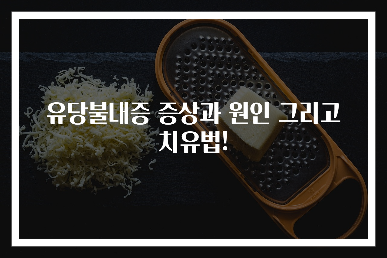 유당불내증 증상과 원인 그리고 치유법!