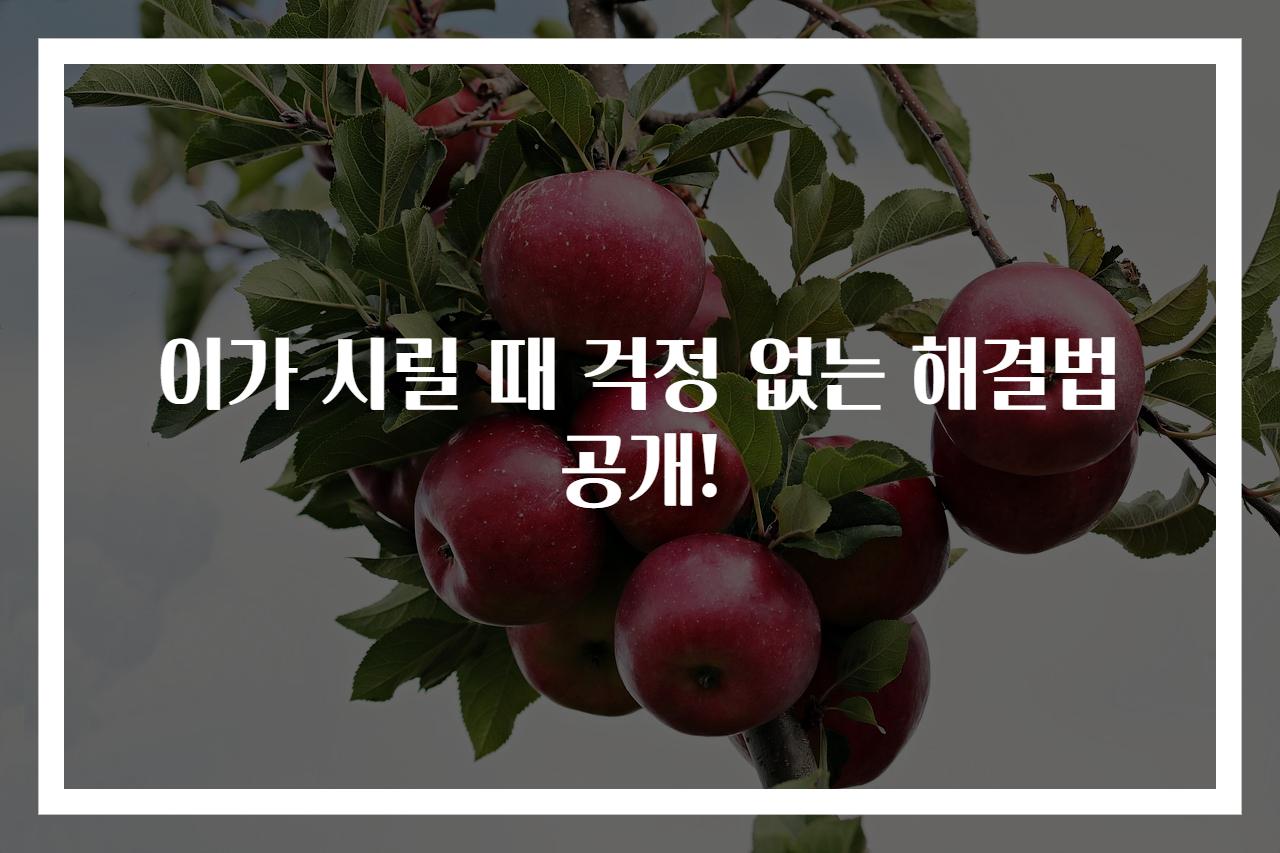 이가 시릴 때 걱정 없는 해결법 공개!